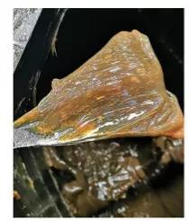 雅富頓化學工業潤滑油 雅富頓化學工業潤滑油